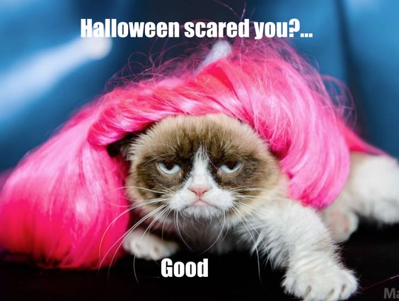 Halloween Scared You