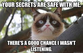 Grumpy Cat Keeps Secrets